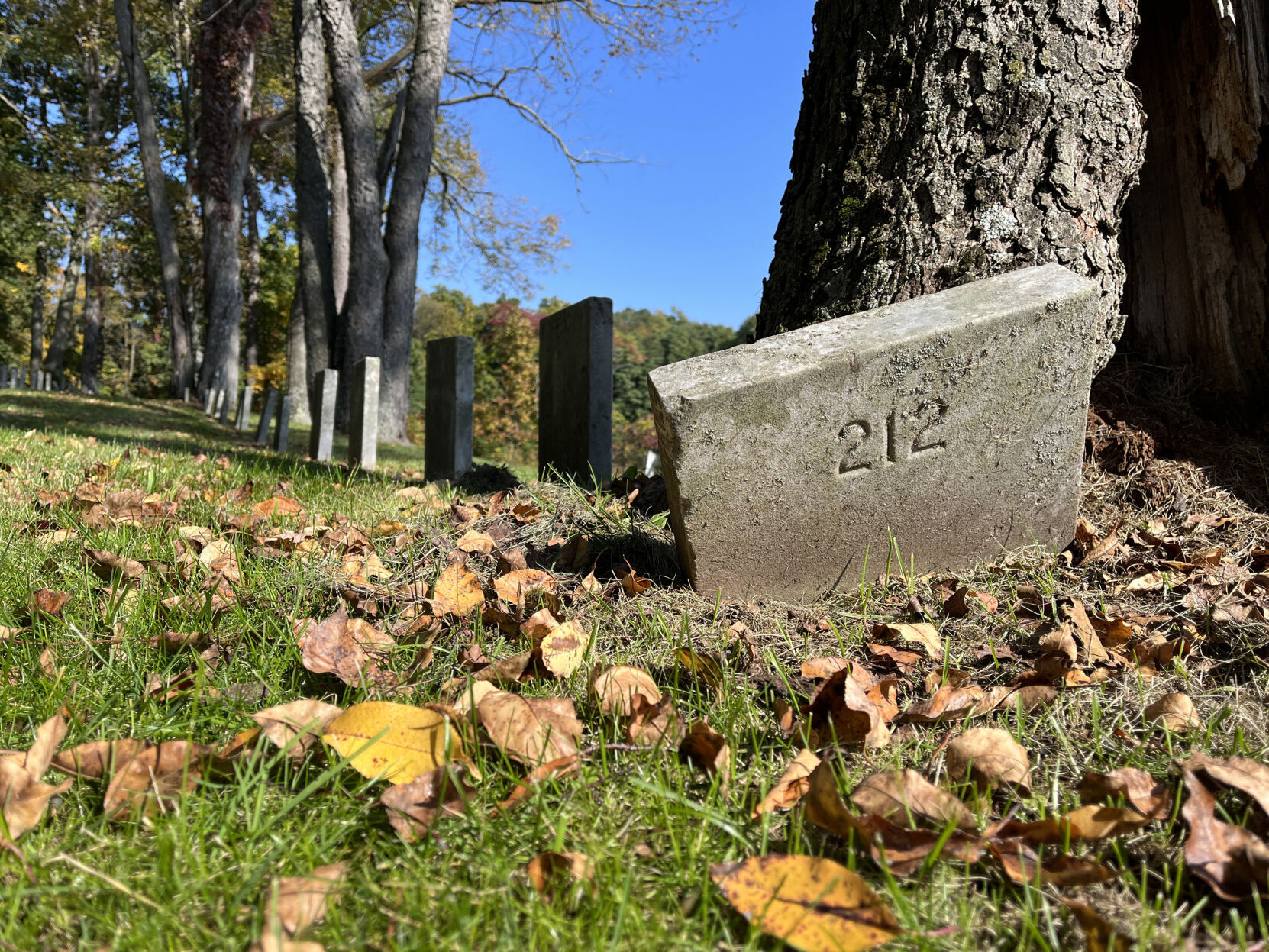 Cayuga County Poor House Cemetery3.JPG